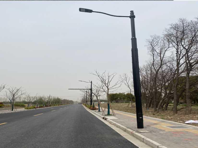 湖州市上海综合杆 太阳能路灯工程